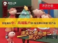 嘉禾岁岁如意保险停售宣导31页.ppt