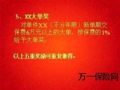 2013年保险公司开门红个险渠道企划案31页.ppt