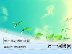 绿色小清新PPT模板2页.ppt