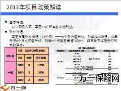 2013年项目政策解读考核资源27页.ppt