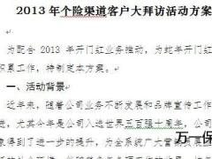 2013年开门红个险渠道客户大拜访活动方案6页.doc