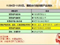 2012年收官营销工作安排新产品试销三阶段21页.ppt