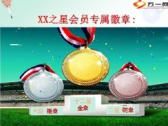 2013年保险公司业务员荣誉体系介绍22页.ppt