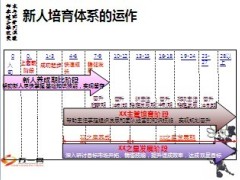 2013年保险公司新培训体系36页.ppt