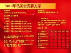 2013年国际龙奖有约钻星会高峰会竞赛方案5页.ppt