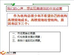 专业化经营行销支持系统的建立79页.PPT