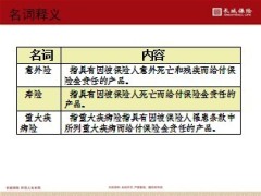 长城人寿运营一般投保规则21页.ppt