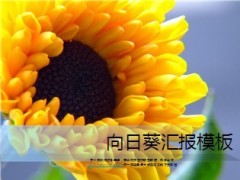 向日葵PPT模板5页.ppt