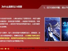 压力管理探微51页.ppt
