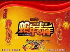 2013年蛇年银保开门红启动会奖项设置26页.ppt