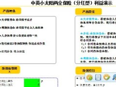 中英小太阳两全保险利益演示.xls