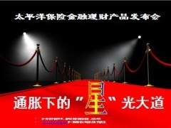 太平洋鸿发年年产说会课件22页.ppt