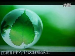 视频水知道答案精装版.zip