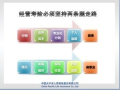 太平洋保险与同业基本法对比59页.ppt