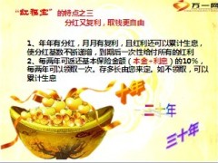 太平洋红福宝保险介绍23页.ppt