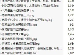 保险理念剪报125张.zip