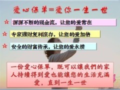 201314爱你一生一世开门红特别交单日奖励方案37页.ppt