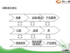 营业区训练规划与组织推动49页.ppt