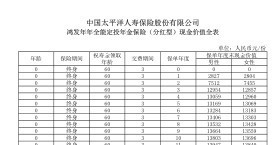 太平洋鸿发年年全能定投年金保险现金价值全表.zip