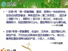 恭贺新年PPT模板21页.ppt