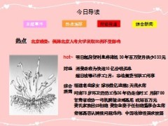 每日新闻早会资讯2013年1月1日早会使用16页 .ppt