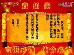 保险营销承诺书责任状2页.ppt