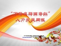 人力发展周报工作日志填写要点15页.ppT