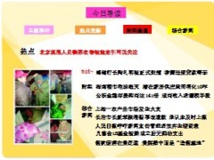 每日新闻早会资讯2013年1月8日早会使用16页.ppt