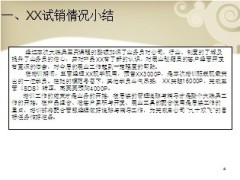 新产品试销情况小结下阶段工作安排5页.ppt