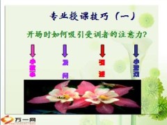 讲师初级课程专业授课技巧一43页.ppt