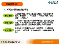 泰康人寿E化在线服务保单功能21页.ppt