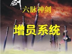 增员项目运作工作指引32页.ppt