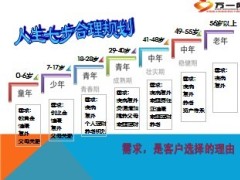 新华保险主推四大产品组合说明31页.ppt