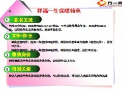 新华祥和万家尊尚人生祥瑞一生双福合璧产品组合14页.ppt