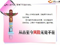 认识风险解读保险从业保险19页.ppt