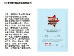 民生保险近几年所获荣誉8页.ppt