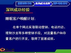 太平银保ITS行动计划介绍38页.ppt