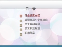 保险公司员工岗前培训27页.ppt