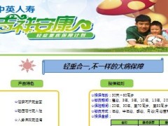 中英人寿吉祥安康利益演示自动计划书.xls