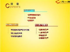 2013年春节假日培训钜献助力开门红28页.ppt