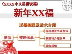 2013蛇年春节假日营销话术工作安排方法30页.ppt