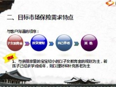 2013年春节元宵节节日主顾开拓28页.ppt