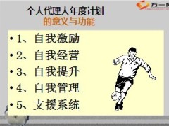 个人代理人年度计划书11页.ppt