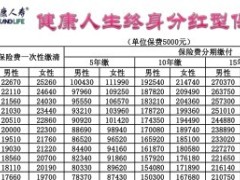 泰康人寿健康人生终身保险速查表.zip