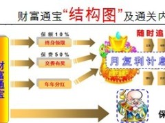 泰康财富通宝画图说明通关卡话术案例3页.doc