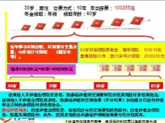 国寿鑫裕养老年金组合保险产品简介亮点目标市场28页.ppt