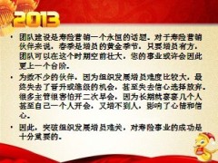 2013蛇年春节话增员12页.ppt