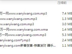 2013年新春春节第一次早会拜年音乐包.zip