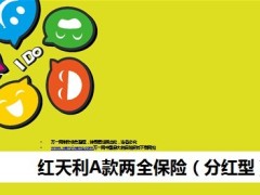 天安人寿红天利A款两全保险介绍13页.ppt