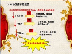银保渠道2013年3月龙威虎震企划15页.ppt